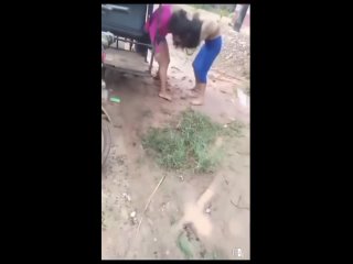 peleas pdc 2026-03-10t142057 000z