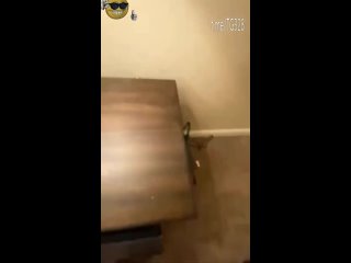 video by alex alexandrov