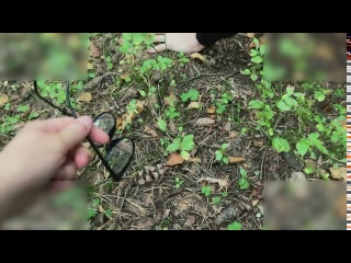 i was looking for a ufo but found a dick