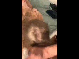 video by alex alexandrov